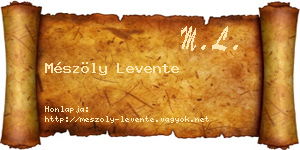 Mészöly Levente névjegykártya