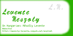 levente meszoly business card